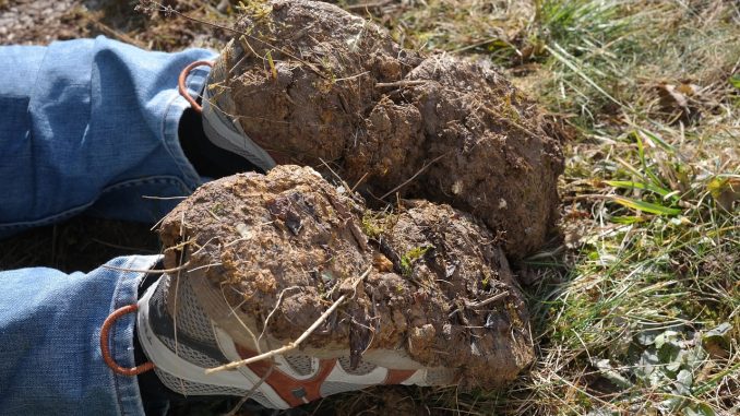 geen werkschoenen bij tuinieren