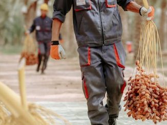 Werkkleding evolueert voortdurend, afgestemd op de behoeften van moderne professionals. Ontdek hier de nieuwste trends op het gebied van werkkleding.