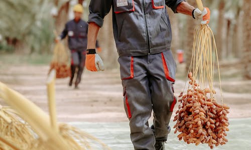 Werkkleding evolueert voortdurend, afgestemd op de behoeften van moderne professionals. Ontdek hier de nieuwste trends op het gebied van werkkleding.