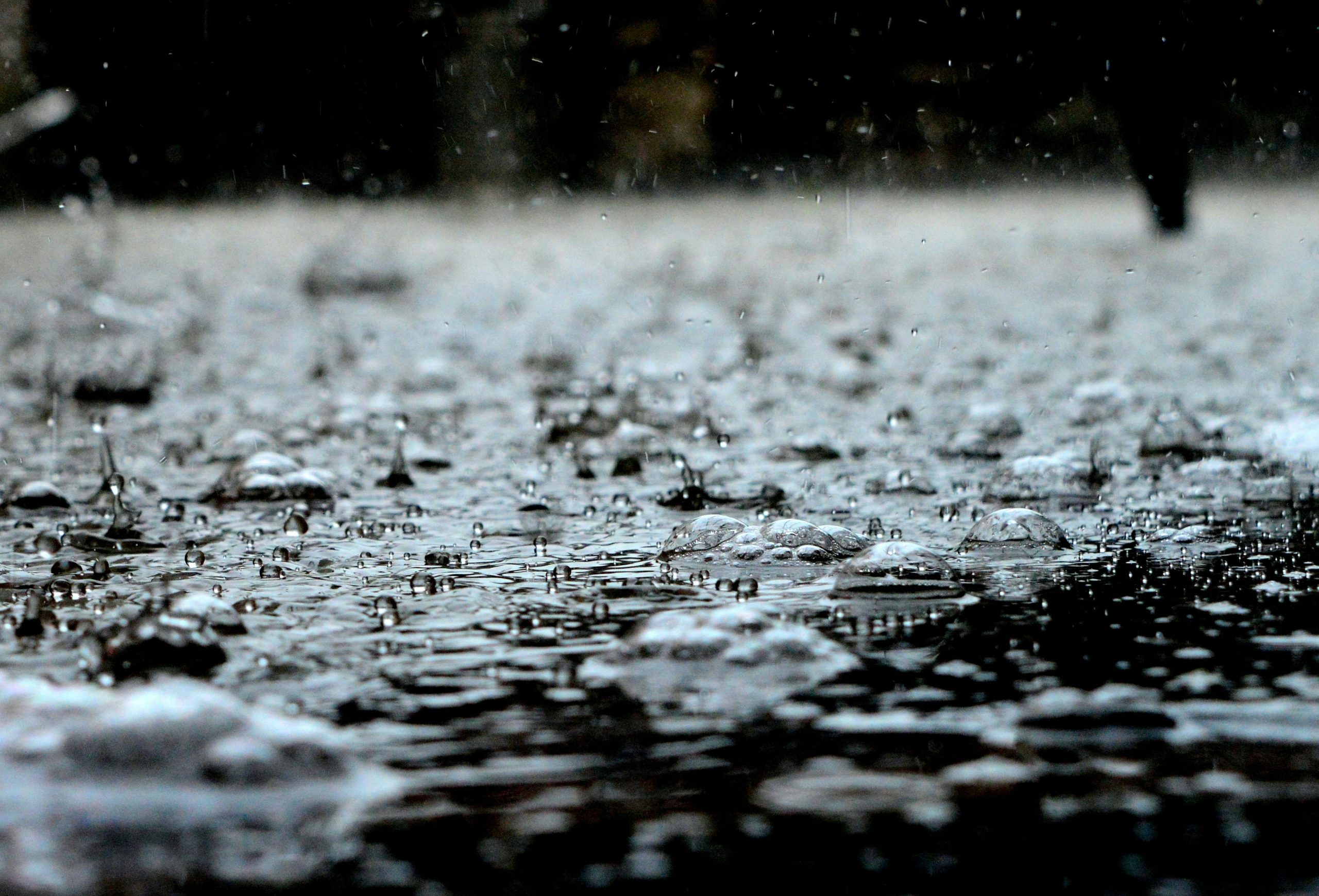 Werkschoen waterdicht