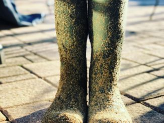 Onderhoud Werkschoenen